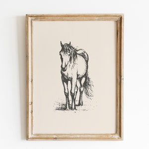 Horse Vintage Print / Horse Wall Art / Horse Drawing / Antique Vintage Painting / Farmhouse Print / Farmhouse Wall Decor / Country Wall Art