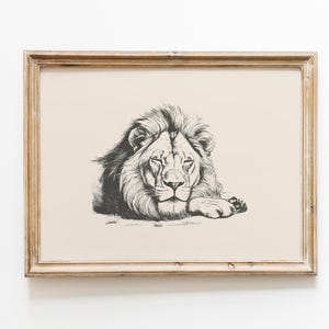 Lion vintage Print | Sleeping lion wall art | Lion drawing | Antique vintage painting | Farmhouse print | Farmhouse wall decor