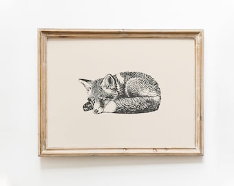 Sleeping fox vintage print | Fox vintage drawing | Animal nursery wall art | Farmhouse wall decor | Countryside print | Bedroom wall art