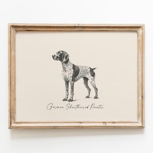 German Shorthaired Pointer Wall Art | Vintage Hunting Dog Print | Digital Download