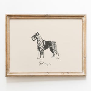 May include: A framed wall art print featuring a black and white ink-style illustration of a Schnauzer dog standing in profile. The word Schnauzer is printed in a cursive script below the dog. The frame is made of light brown wood with a grain.