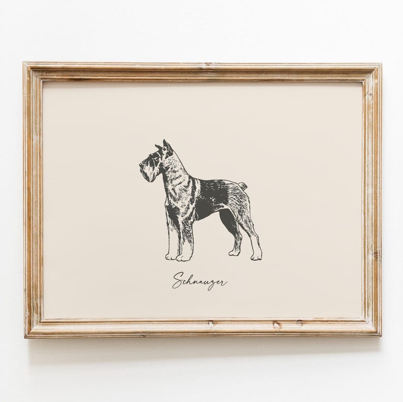 May include: A framed wall art print featuring a black and white ink-style illustration of a Schnauzer dog standing in profile. The word Schnauzer is printed in a cursive script below the dog. The frame is made of light brown wood with a grain.