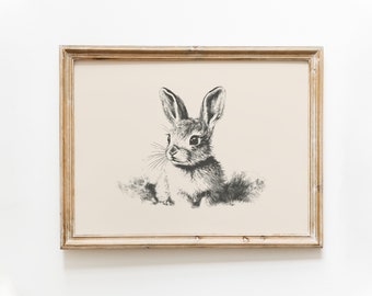 Baby Hare Vintage Print: Rabbit Drawing, Nursery Wall Art (Digital Download)