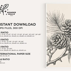 May include: A monochrome botanical print with detailed drawings of pine cones and needles. The print includes the text "INSTANT DOWNLOAD" and size ratios in inches and cm.