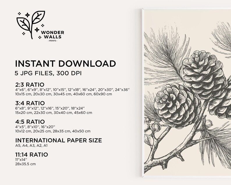 May include: A monochrome botanical print with detailed drawings of pine cones and needles. The print includes the text "INSTANT DOWNLOAD" and size ratios in inches and cm.