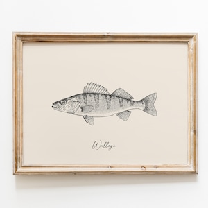 Op de afbeelding: Een ingelijste prent met een gedetailleerde zwart-wit illustratie van een snoekbaars. De vis is in profiel afgebeeld, met zichtbare schubben en vinnen. Het woord "Walleye" staat eronder in cursief. De lijst is lichtbruin.