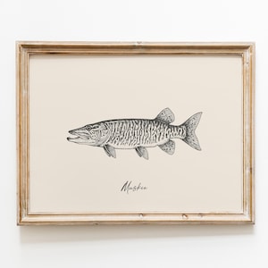Op de afbeelding: Een ingelijste prent met een zwart-wit illustratie van een muskie-vis. De vis wordt in profiel getoond, waarbij de kenmerken worden benadrukt. Het woord "Muskie" staat eronder in cursief geschreven.
