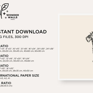 May include: A digital print featuring a black and white sketch of a Schnauzer dog on a cream background with the text Schnauzer below. The image includes text listing five JPG files with various aspect ratios and sizes in inches and centimeters.