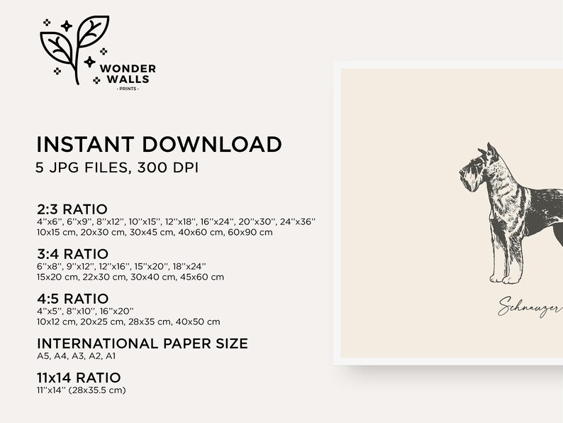 May include: A digital print featuring a black and white sketch of a Schnauzer dog on a cream background with the text Schnauzer below. The image includes text listing five JPG files with various aspect ratios and sizes in inches and centimeters.