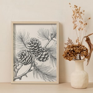 May include: A framed monochrome botanical print depicting pine cones and needles. The artwork is set on a light surface, with a small white vase holding dried flowers to the right. The print is in a light wooden frame.