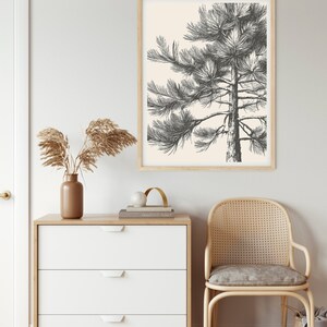 May include: A black and white illustration of a pine tree on a cream background. The illustration is framed in a light wood frame and hung on a white wall.