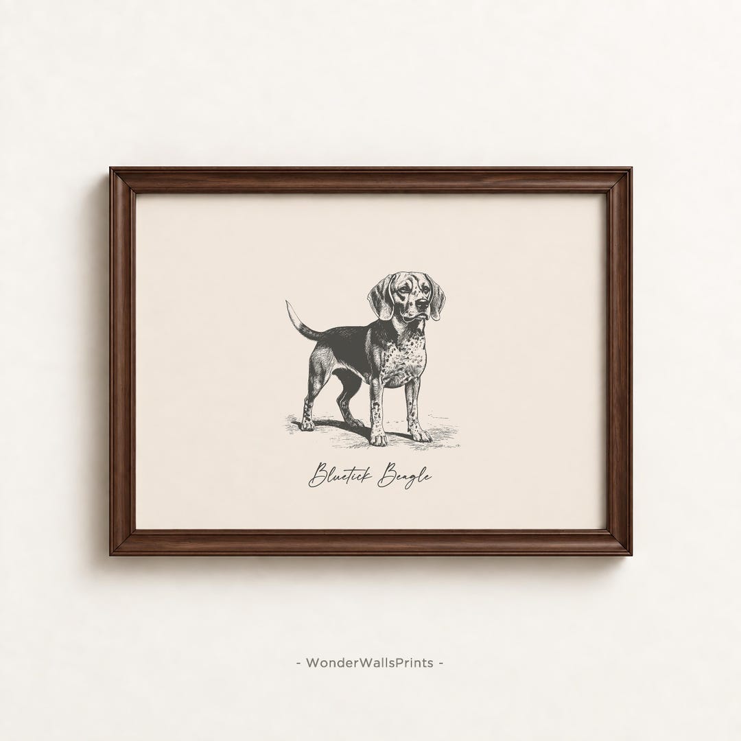 Beagle Wall Art | Beagle Print | Bluetick Beagle Art | Dog Breed