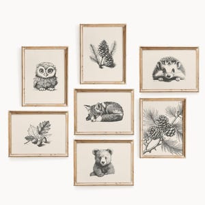 Vintage Waldbaby-Tiergalerie - 7er-Set | Schlafender Fuchs Druck | Natur Kinderzimmer Dekor | Baby Bär Druck | Tannenzapfen Wandkunst