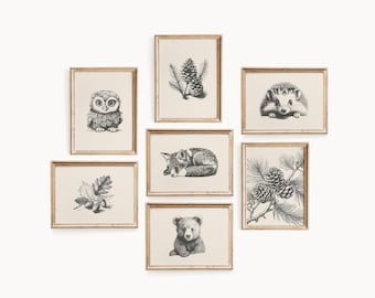 Woodland Nursery Prints: Baby Animals, Forest Nature Art - Set of 7 (Digital Download)