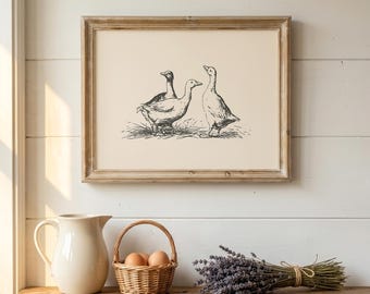Stampa di anatra / Decorazione murale in stile rustico / Quadro con anatra / Arredamento da cucina country / Arredamento cottagecore / Stampa di animali da fattoria / Download digitale