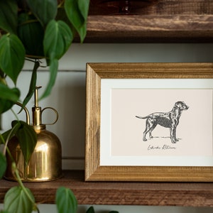 Dog Vintage Print Labrador Retriever Print Dog Drawing Farmhouse Print Countryside Wall Art image 2