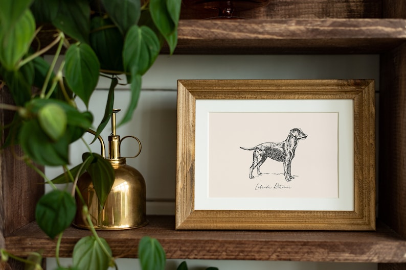 Dog Vintage Print Labrador Retriever Print Dog Drawing Farmhouse Print Countryside Wall Art image 2