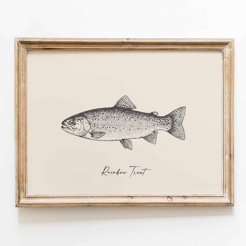 Op de afbeelding: Een ingelijste print met een zwart-wit illustratie van een regenboogforel. De vis is in profiel afgebeeld op een cr&egrave;mekleurige achtergrond, met de woorden "Rainbow Trout" in een scriptlettertype. De lijst is lichtbruin van kleur.