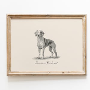 Puede incluir: Una ilustración en blanco y negro de un perro American Foxhound de pie en una pose neutral. La imagen está enmarcada en un marco de madera clara y tiene el texto "American Foxhound" impreso debajo del perro.
