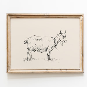 Goat Vintage Print | Goat Wall Art | Vintage Drawing | Farmhouse Print