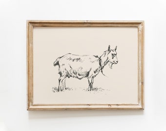 Goat Vintage Print | Goat Wall Art | Vintage Drawing | Farmhouse Print
