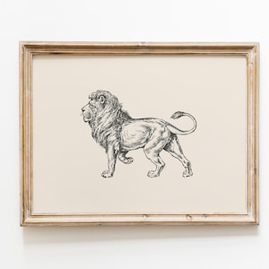 Lion Vintage Print | Lion Wall Art | Lion Drawing | Antique Vintage Painting | Farmhouse Print | Farmhouse Wall Decor | Country Wall Art