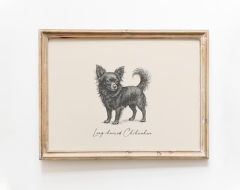 チワワ犬のキャンバスアート、ヴィンテージ油絵スタイル、エレガントな