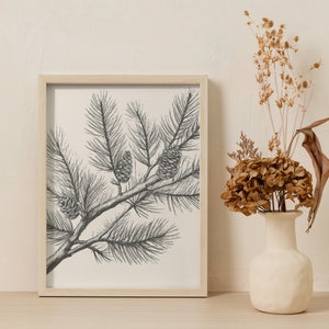 May include: A framed wall art print featuring a black and white ink illustration of a pine branch with needles and three pinecones. The print is housed in a light-colored wooden frame and displayed next to a cream-colored vase with dried flowers.