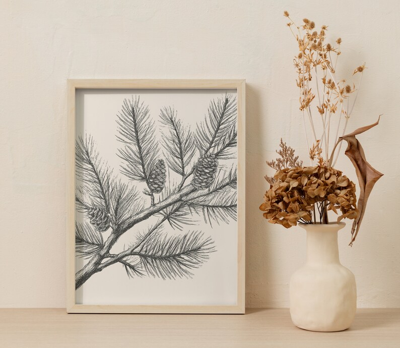 May include: A framed wall art print featuring a black and white ink illustration of a pine branch with needles and three pinecones. The print is housed in a light-colored wooden frame and displayed next to a cream-colored vase with dried flowers.