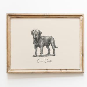 Dog Vintage Print | Cane Corso Print | Dog Drawing | Farmhouse Print | Countryside Wall Art