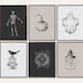 Halloween Set of 6 Prints / Halloween Print Wall Art / Skeleton Print / Ghost Print / Spooky Prints / Halloween Decor / Halloween Printables 