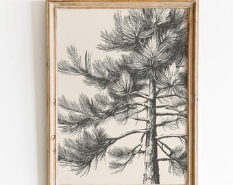 Pine Tree Wall Art | Vintage Nature Print | Cottagecore Home Decor | Woodland Wall Art | Botanical Print | Nature Gift | Digital Download