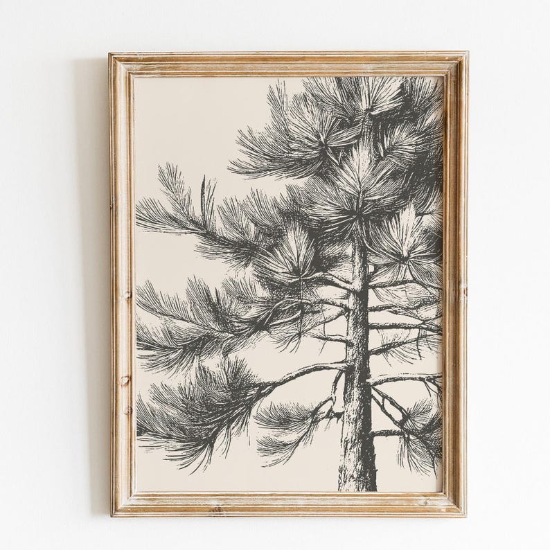 Vintage engraving style pine tree art print viewed from below on cream background in antique gold bamboo frame — cottagecore woodland digital download wall art.