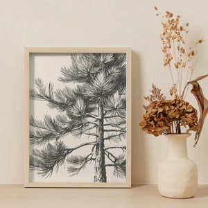May include: A black and white line drawing of a pine tree in a wooden frame. The frame is sitting on a white surface.