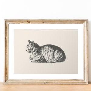 Vintage Cat Print / Cat Print Wall Art / Boho Cat Wall Art / Cat Printable Poster / Animal Boho Print / Catlover Gift / Antique Cat Print image 2