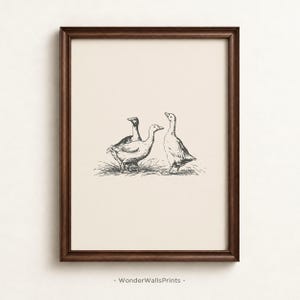 May include: A framed wall art print featuring a black ink illustration of three geese standing on grass against a cream background. The dark brown wooden frame surrounds the artwork, which includes the text WonderWallsPrints at the bottom.