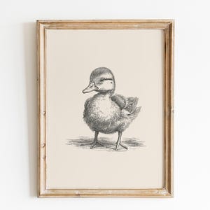 Baby duck vintage print | Duck wall art | Duck drawing | Antique vintage painting | Farmhouse nursery print | Vintage nursery print