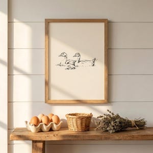 Duck Vintage Print | Duck Family Wall Art | Duck Drawing | Antique Vintage Painting | Farmhouse Print | Digital Download