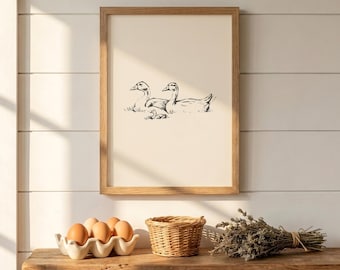 Stampa vintage di anatra / Quadro con famiglia di anatre / Disegno di anatra / Dipinto antico vintage / Stampa in stile rustico / Download digitale