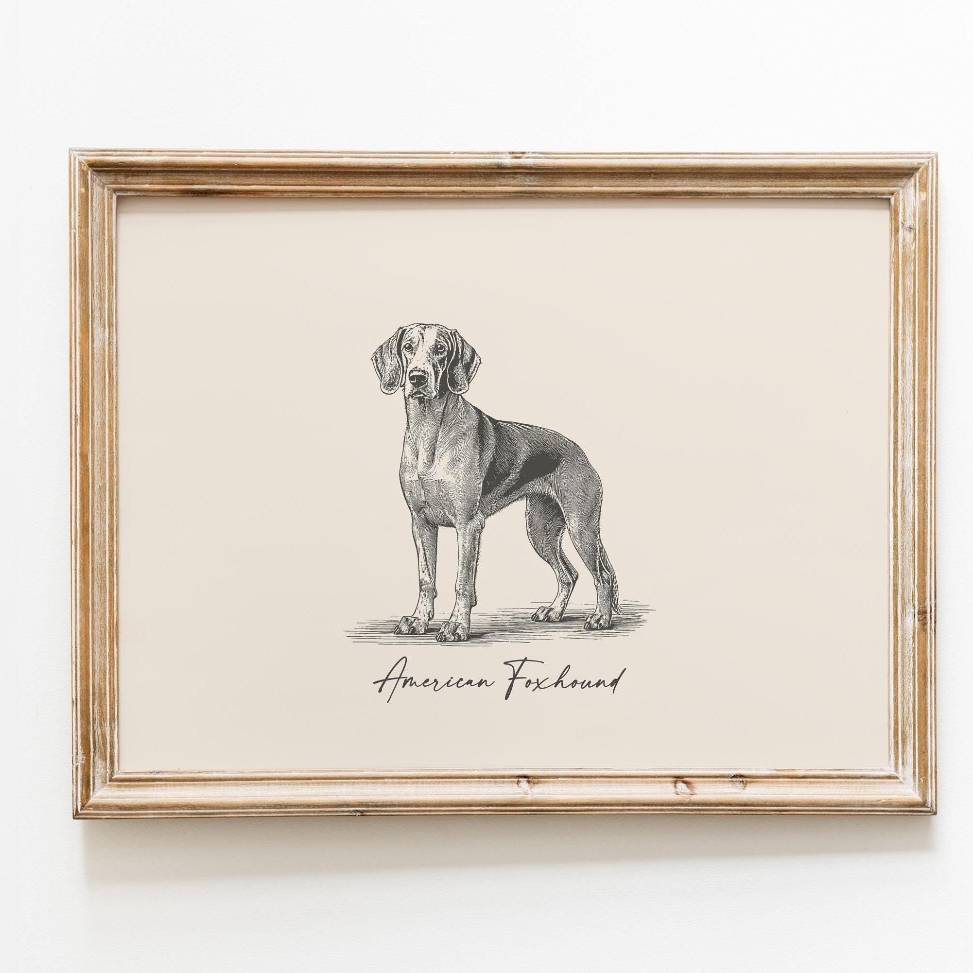 American Foxhound Wall Art | Vintage Hunting Dog Print | Digital