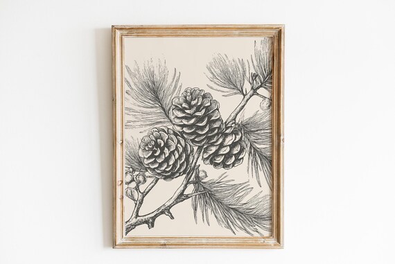 Vintage Pine Cone Print: Farmhouse Woodland Wall Art (Digital Download)