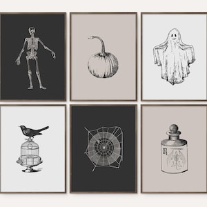 May include: Set of six black and white Halloween themed printable art prints. The prints feature a skeleton, a pumpkin, a ghost, a bird in a cage, a spider web, and a potion bottle with a bat.