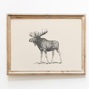 Puede incluir: Un dibujo en blanco y negro de un alce con grandes cuernos, enmarcado. El marco es de madera clara.