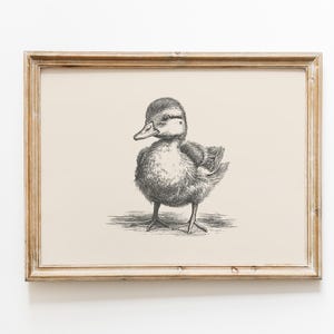 Baby duck vintage print | Duck wall art | Duck drawing | Antique vintage painting | Farmhouse nursery print | Vintage nursery print