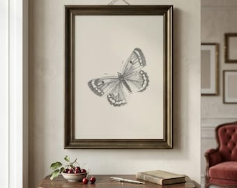 Lámina vintage de mariposas / Arte mural de entomología / Lámina vintage de insectos / Decoración de historia natural / Arte mural victoriano / Descarga digital