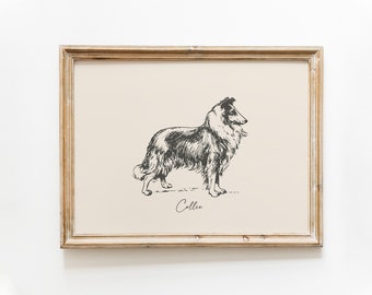 Op de afbeelding: Een zwart-witte lijntekening van een Collie-hond die in profiel staat. De afbeelding is ingelijst in een licht houten lijst en het woord "Collie" staat onder de hond.