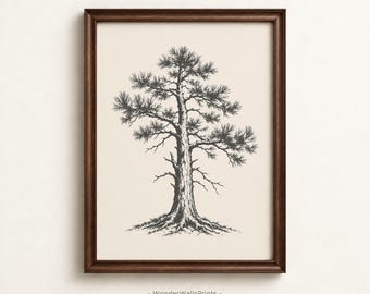 Pine Tree Wall Art | Vintage Nature Print | Tree Sketch Print | Digital Download