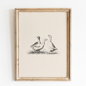 Duck Vintage Print / Duck Wall Art / Duck Drawing / Antique Vintage Painting / Farmhouse Print / Farmhouse Wall Decor / Country Wall Art