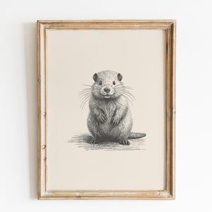 Op de afbeelding: Een ingelijste prent met een gedetailleerde zwart-wit illustratie van een bever. Het kunstwerk toont de bever in een zittende positie, met zijn voorpoten zichtbaar en een lange staart. De lijst is lichtbruin.