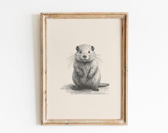 Baby Beaver Vintage Drawing: Animal Nursery Wall Art (Digital Download)